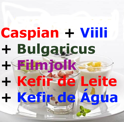 Comprar Caspian, Viili, Bulgaricus, Filmjolk, Kefir de Leite e Kefir de Agua.