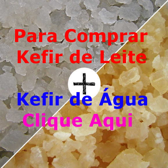 Comprar Kefir de Leite + Kefir de Agua